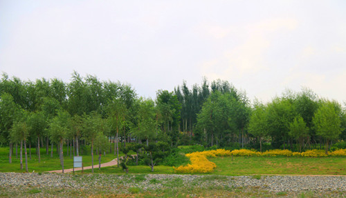 IMG_5172_副本_副本.jpg